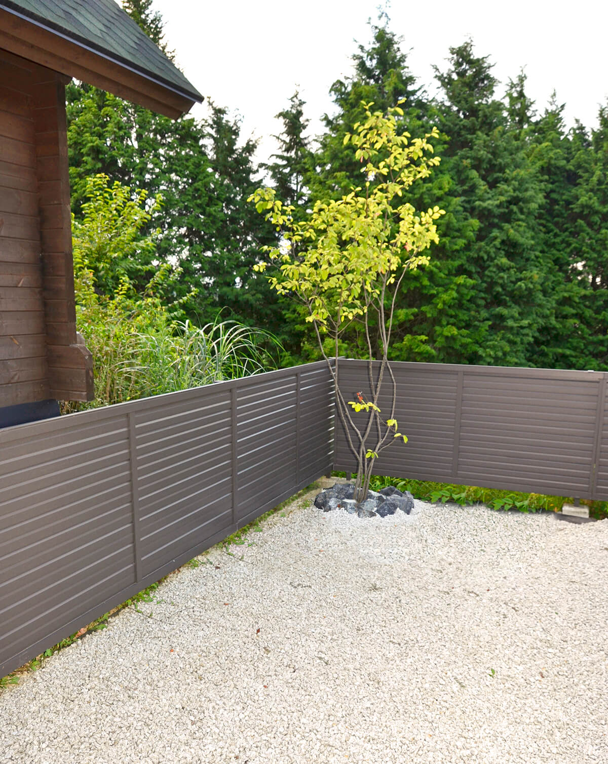 玄関脇には、庭のアクセントとなるジューンベリー